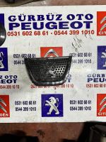 Peugeot 3008 Amblem Orjınal Çıkma